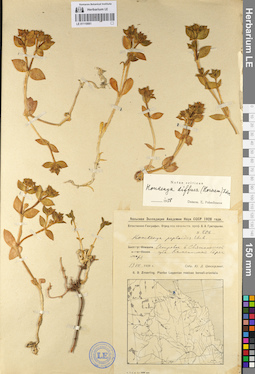 LE 01110061