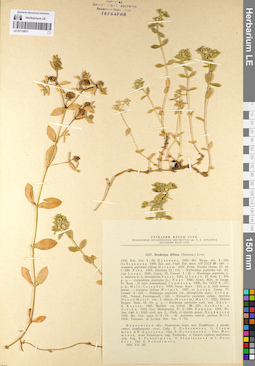 LE 01110071