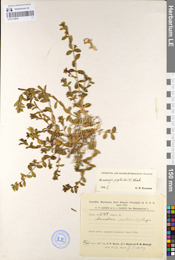 LE 01110078