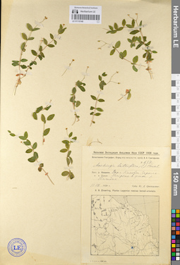 LE 01110146