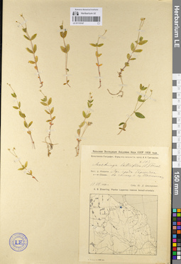 LE 01110147