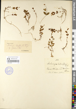 LE 01110151
