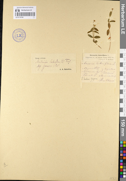 LE 01110154