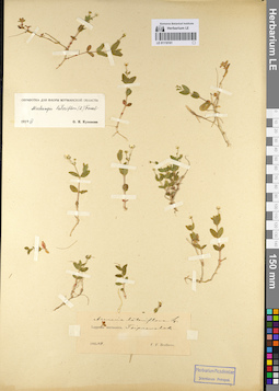 LE 01110161