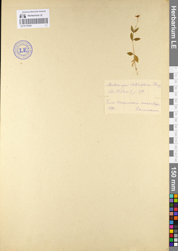 LE 01110165
