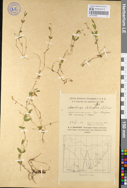 LE 01110168