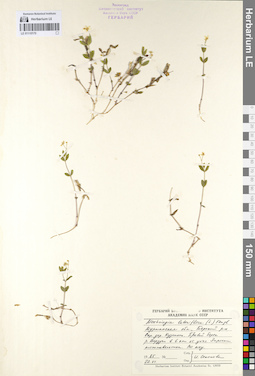 LE 01110170