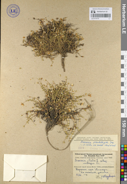 LE 01110175