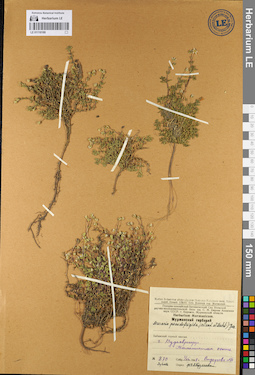 LE 01110188