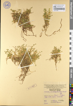 LE 01110189
