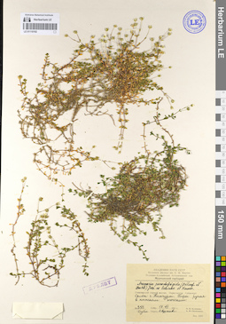 LE 01110192