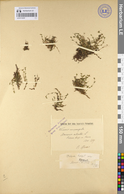 LE 01110197