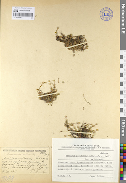 LE 01110199
