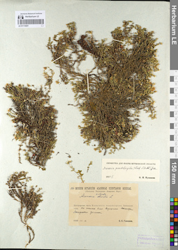 LE 01110201