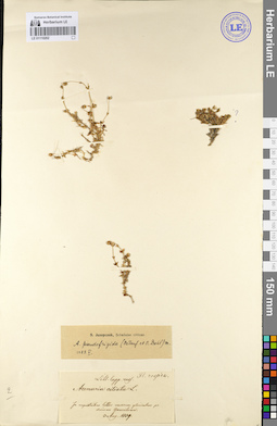 LE 01110202