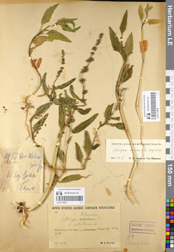 LE 01110230