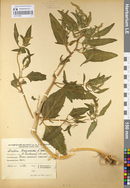 LE 01110235