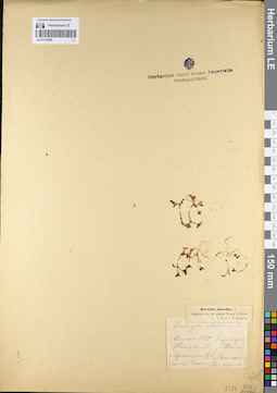 LE 01110240