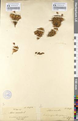 LE 01110258