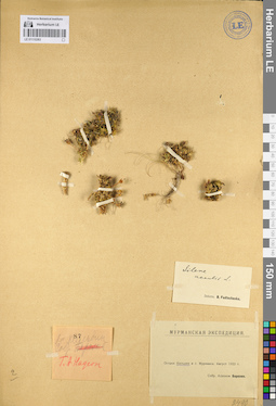 LE 01110263