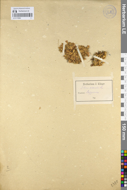 LE 01110264