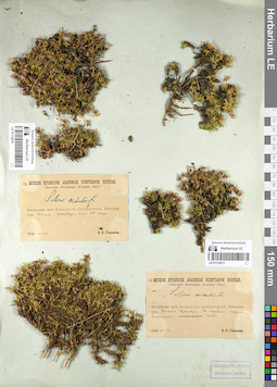 LE 01110270