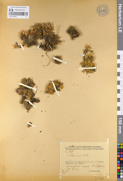 LE 01110275