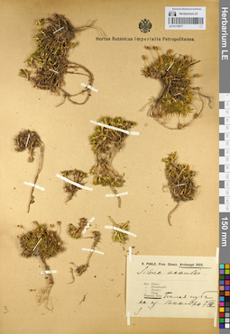 LE 01110277