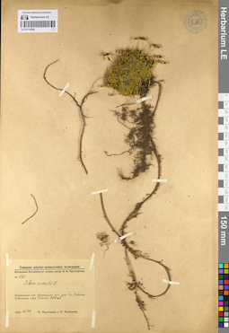 LE 01110292