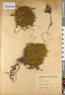 LE 01110293