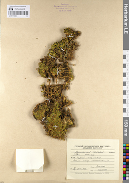 LE 01110300