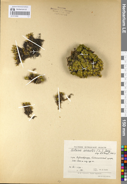 LE 01110302