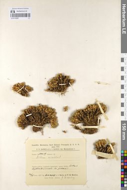 LE 01110307