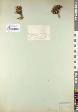 LE 01110317