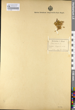 LE 01110324