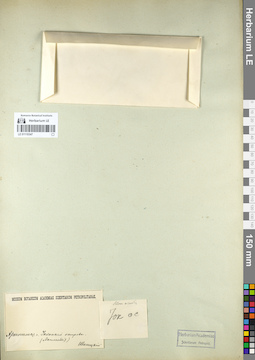 LE 01110347