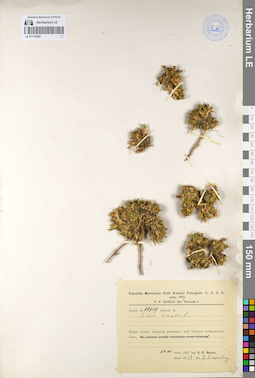 LE 01110354