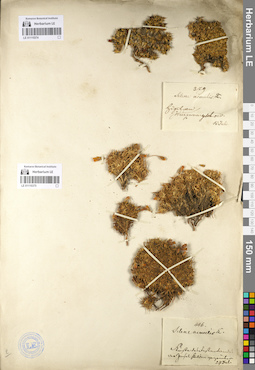 LE 01110375