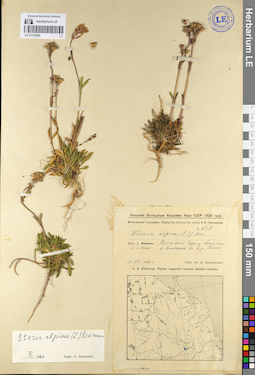 LE 01110382