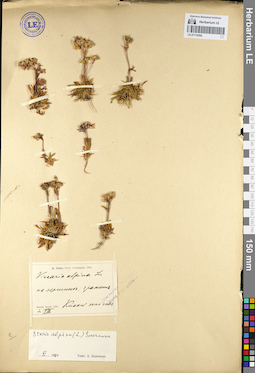LE 01110392