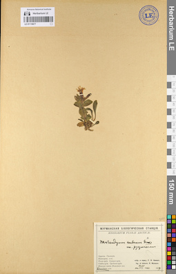 LE 01110677