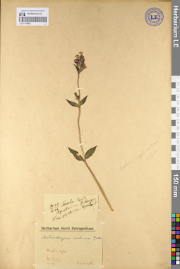 LE 01110682