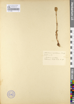 LE 01110692