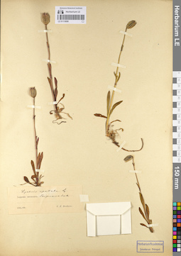 LE 01110698