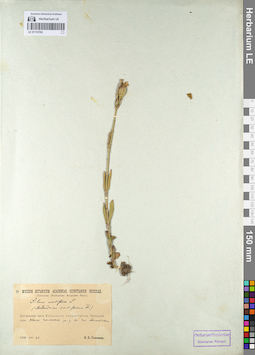LE 01110702