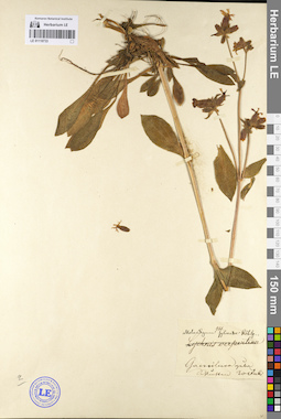 LE 01110733