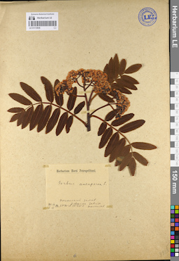 LE 01113938