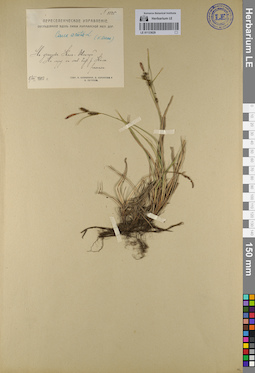 LE 01133629