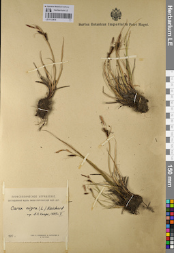LE 01133676