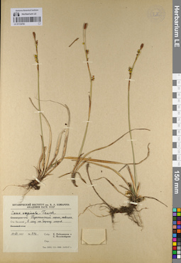 LE 01134782